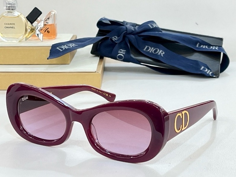 DIOR Sunglasses 89